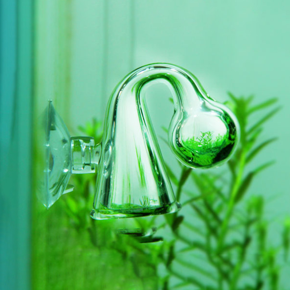 Fish Tank CO2 Diffuse Glass Dr - Planted Aquarium Supplies ulasan dan harga