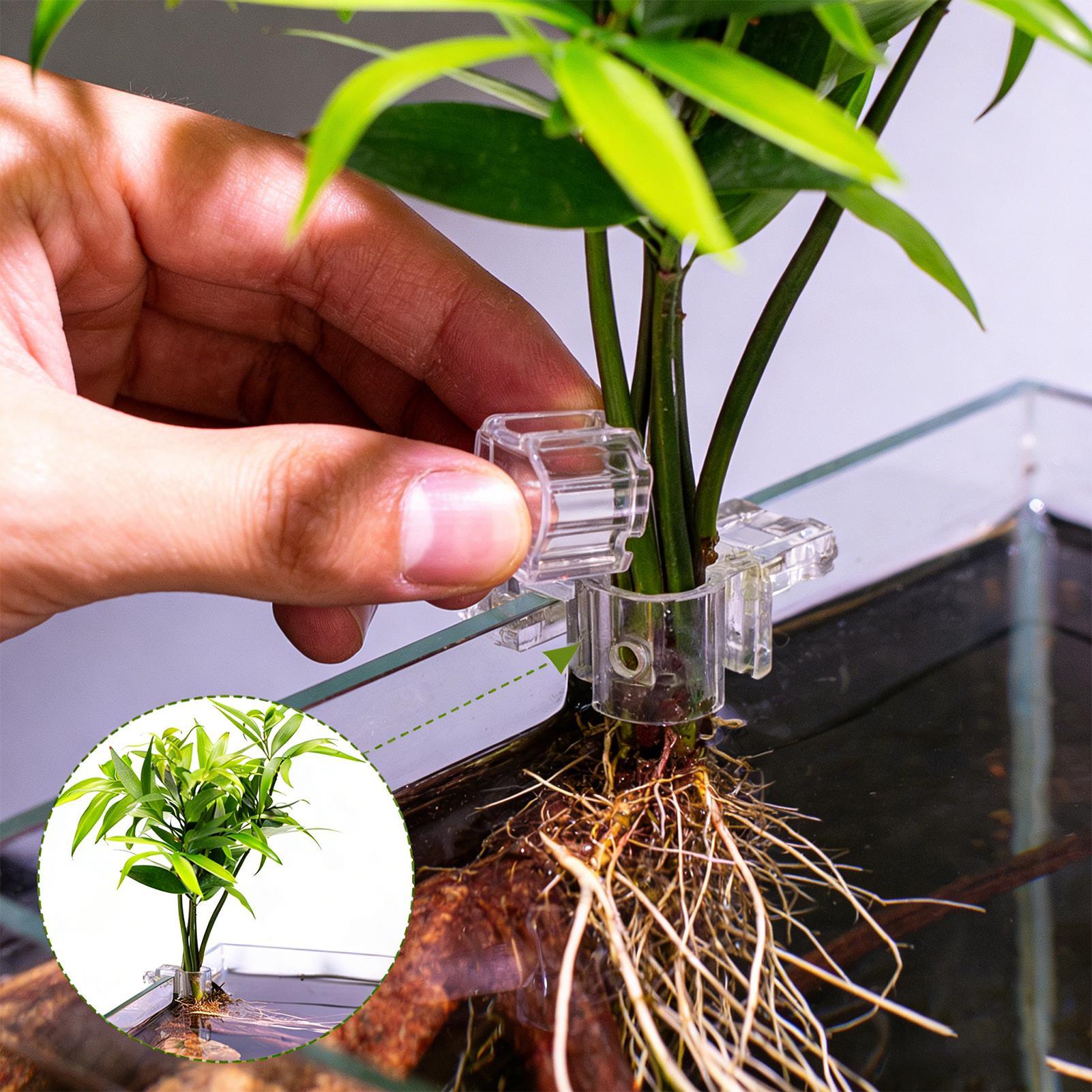 Fish Tank Plant Holder 6 Piece - Aquarium Planted Soil ulasan dan harga