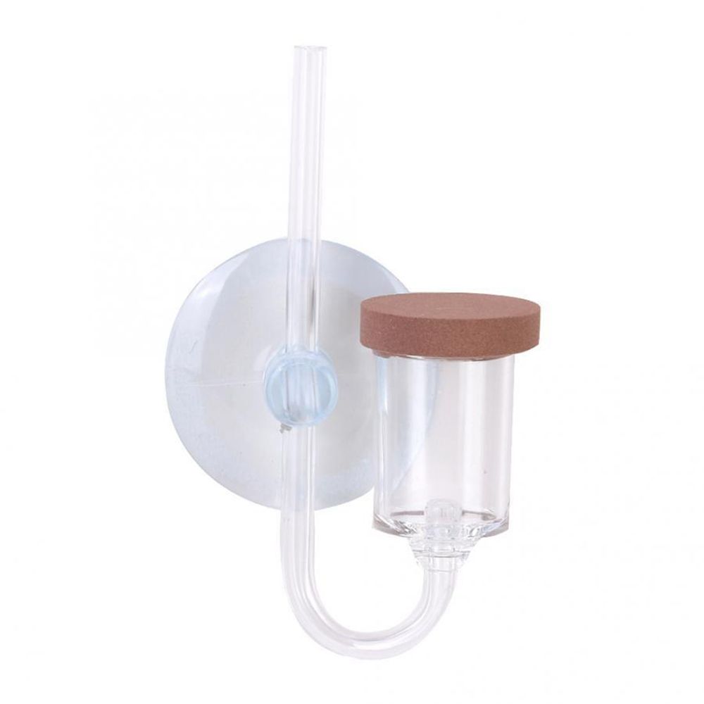 Acrylic Mini Fish Tank Live Pl - Planted Aquarium Maintenance ulasan dan harga