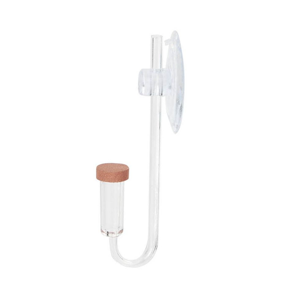 Acrylic Mini Fish Tank Live Pl - Planted Aquarium Maintenance ulasan dan harga