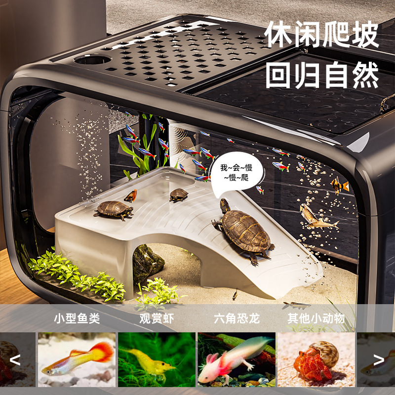 Fish Tank Accessories Aquarium - Planted Aquarium Bowl ulasan dan harga