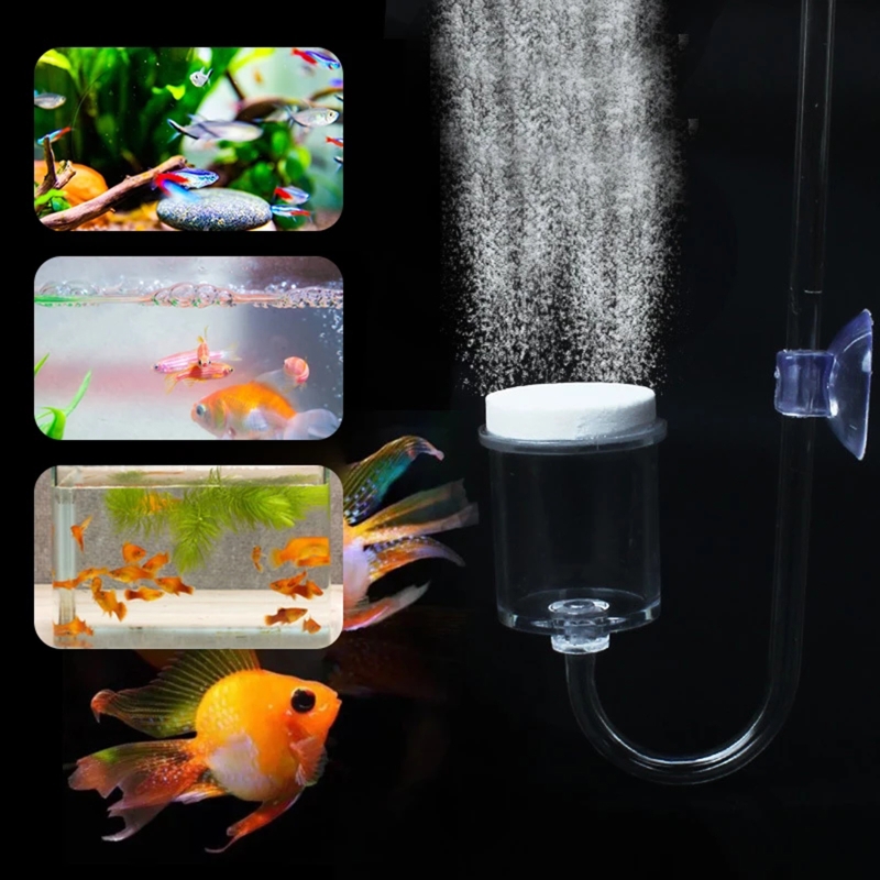 4pcs Set DIY CO2 Diffuser For  - Planted Aquarium Supplies ulasan dan harga